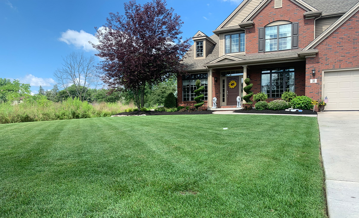 WNY Services LLC Landscaping & Snow Removal Grand Island NY