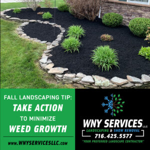 WNY Services, landscaping, professional landscaing, WNY landscaping, grand island landscaping, landscaping tips