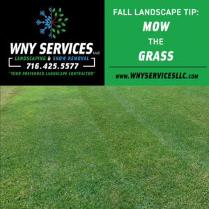 Read more about the article Fall Landscaping Tip: Mow the grass