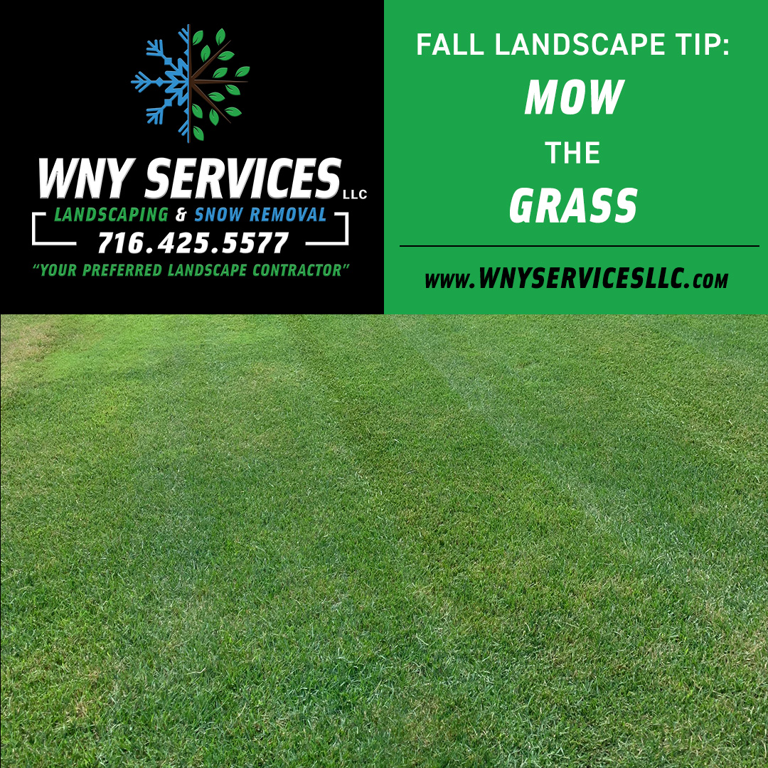 You are currently viewing Fall Landscaping Tip: Mow the grass