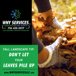 Read more about the article Fall Landscaping Tip: Don’t Let Leaves Pile Up