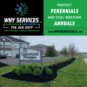 WNY Services, landscaping, professional landscaing, WNY landscaping, grand island landscaping, landscaping tips, protect perennials