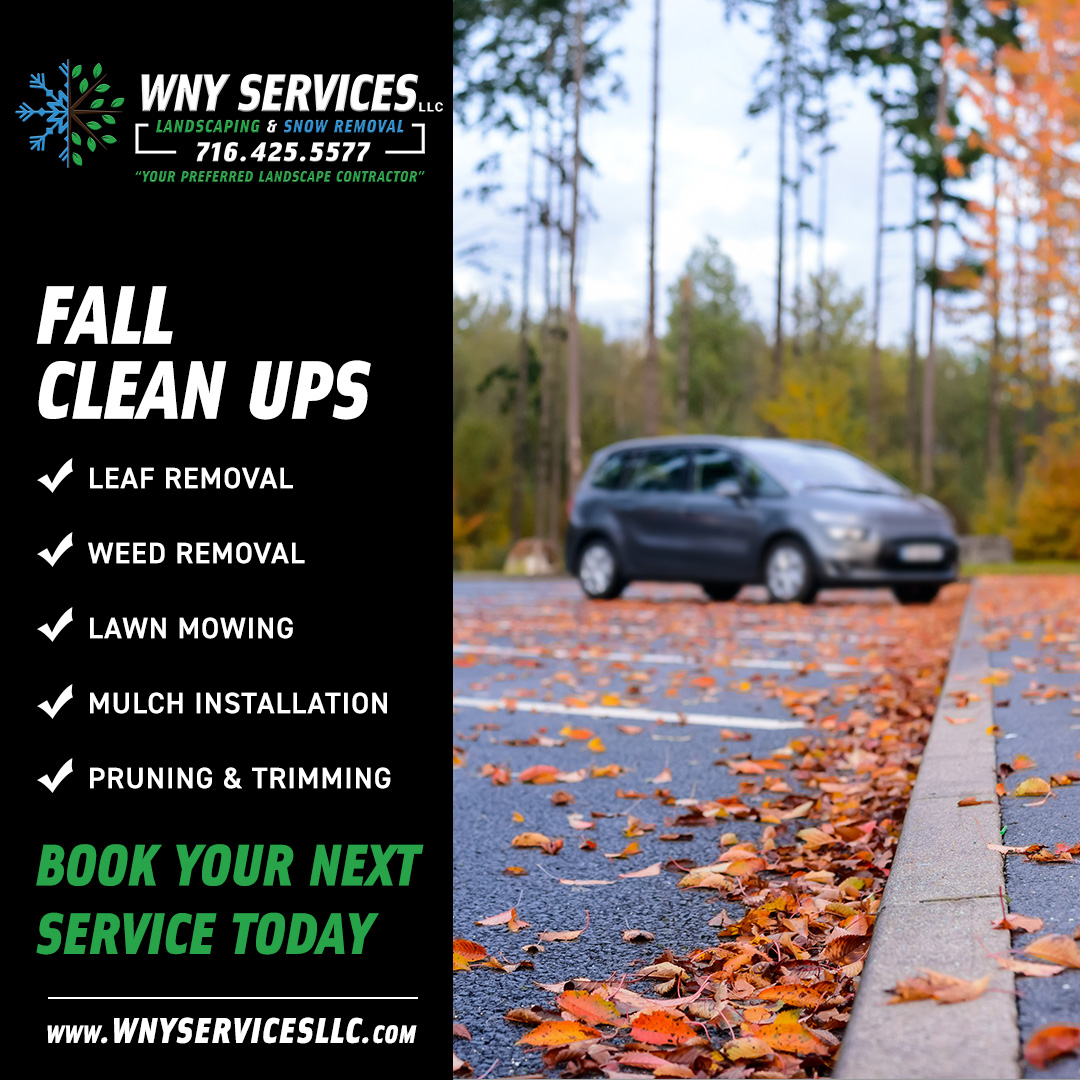 Read more about the article Top Quality Fall Clean Ups
