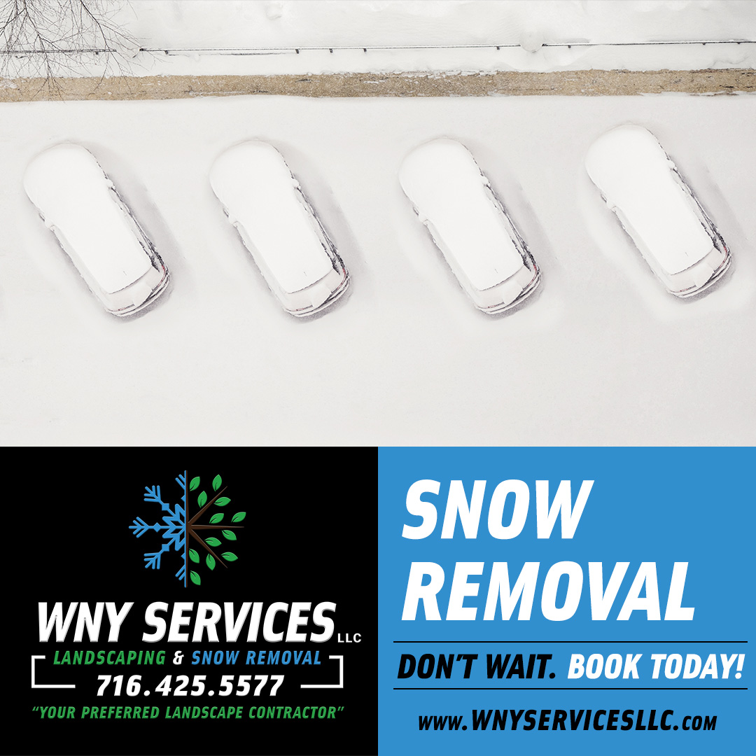 Read more about the article Reasons For Snow Removal: Increase Safety