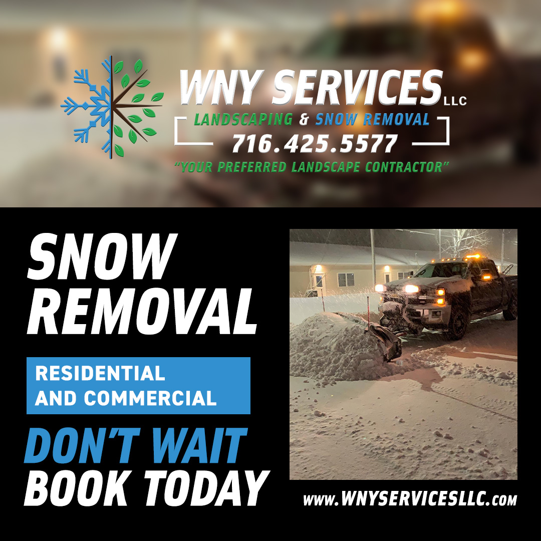 You are currently viewing Reasons For Snow Removal: Peace of Mind