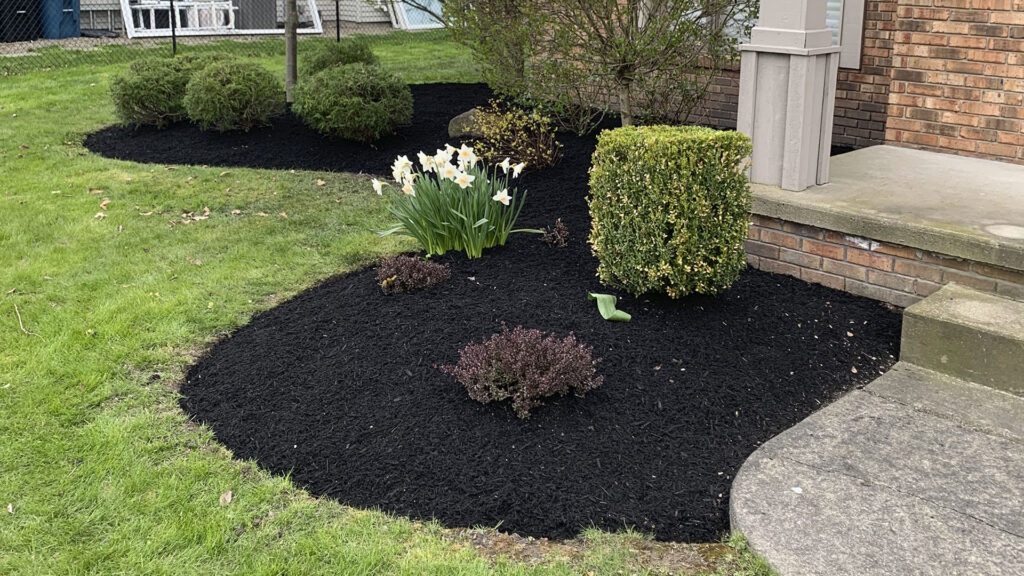 WNY Services LLC offers residential and commercial garden bed maintenance, mulch treatment, and more throughout WNY.